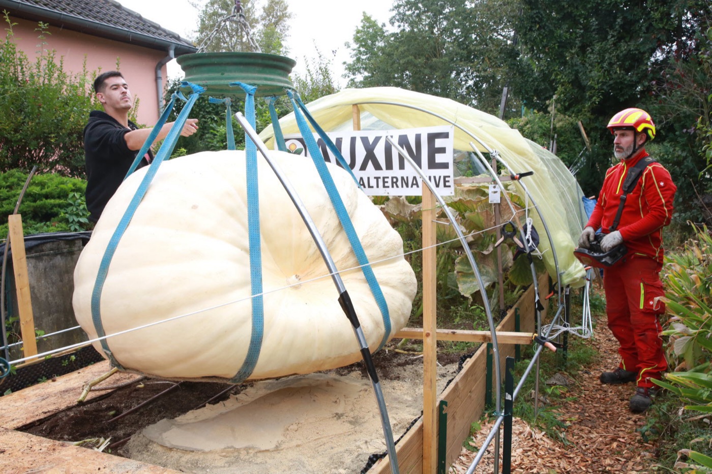 Potiron · 150 Square Feet Challenge — 588 kg