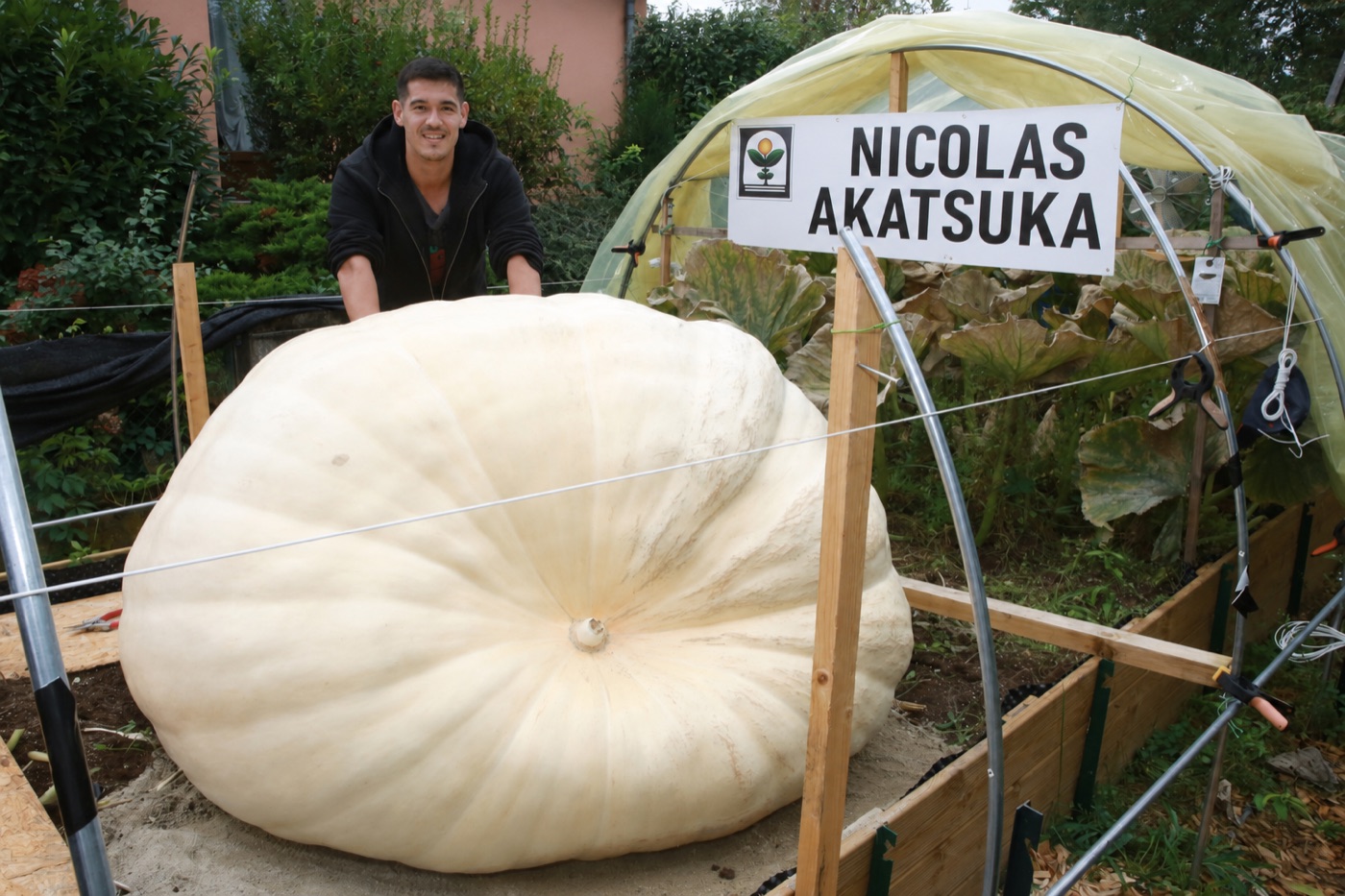 Nicolas Akatsuka & son potiron de 588 kg